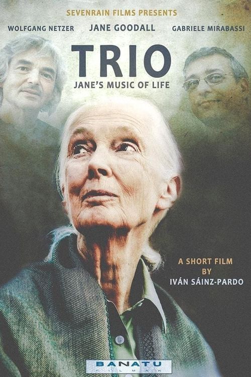 Trio. Jane's Music of Life