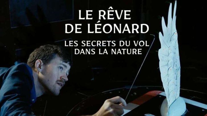 Le rêve de Léonard : Les secrets du vol dans la nature