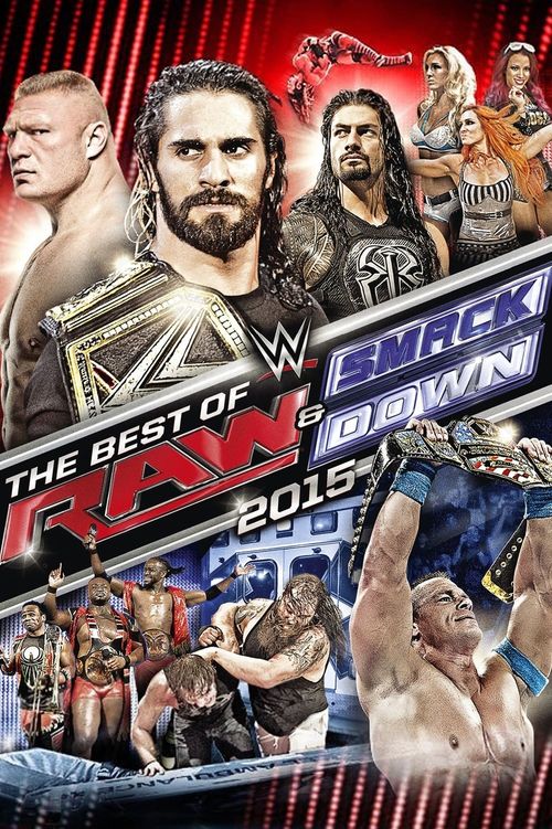 WWE The Best of Raw & SmackDown 2015