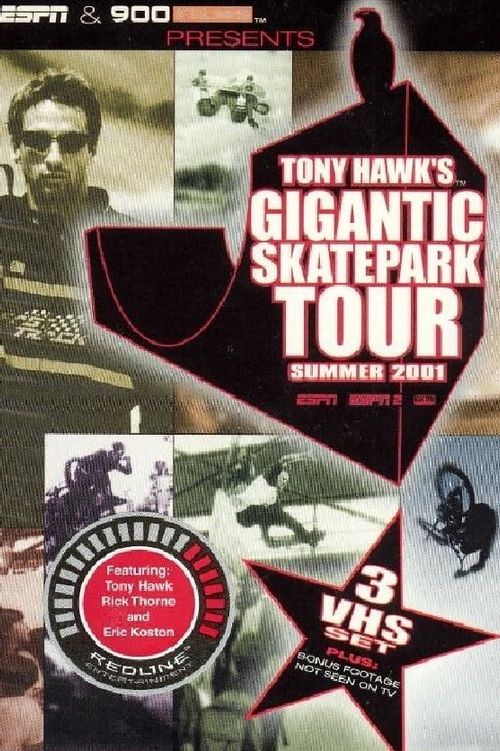 Tony Hawk's Gigantic Skatepark Tour 2001