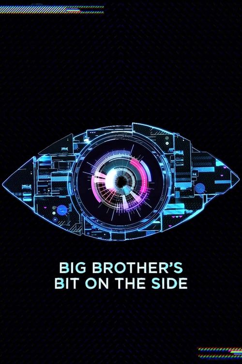 Big Brother's Bit on the Side