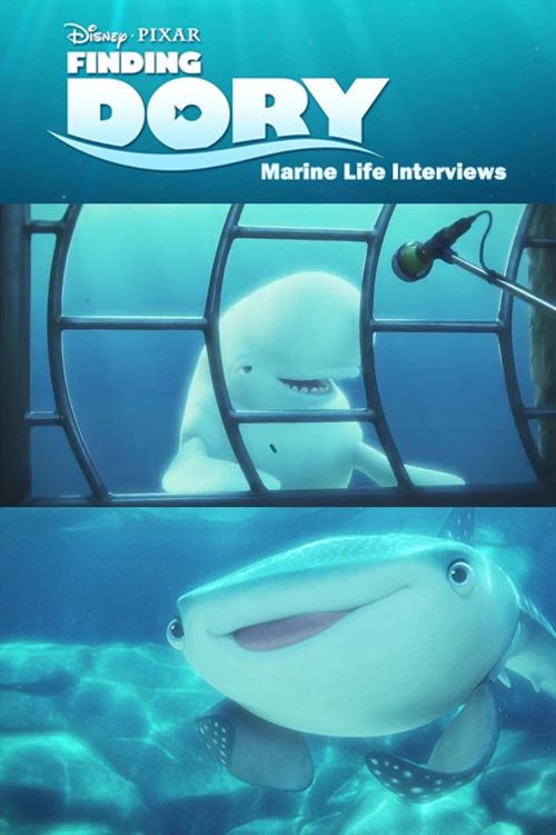 Marine Life Interviews
