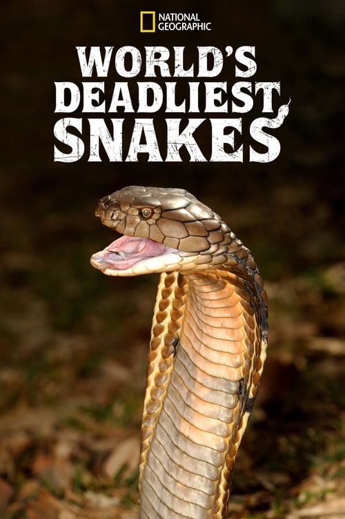 World's Deadliest Snakes