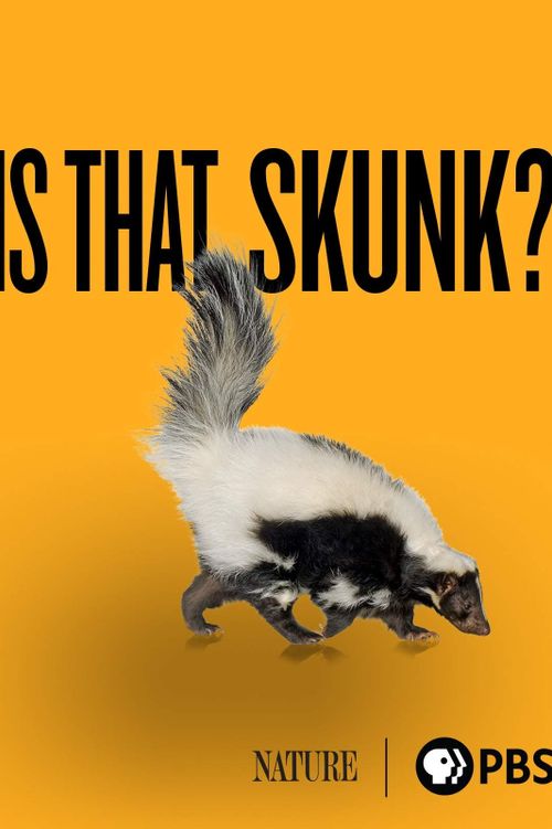 Is That Skunk?