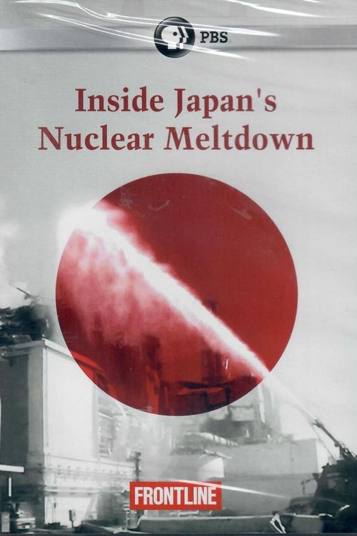 Inside Japan's Nuclear Meltdown